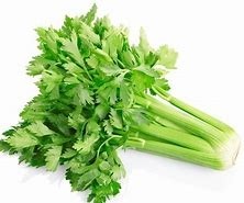 Celery - 1 Bunch