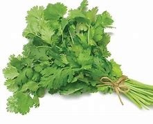 Coriander Leaves - 1 Bunch