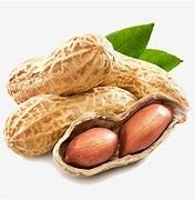 Groundnut - Fresh - 500 g