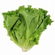 Lettuce - Green - 500 g
