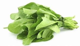 Palak - 1 Bunch