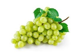 Grapes - Seedless Green - 500 Kg