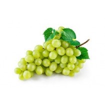 Grapes - Seedless Green - 500 Kg