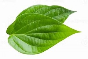 Betel Leaf - 10 Pcs