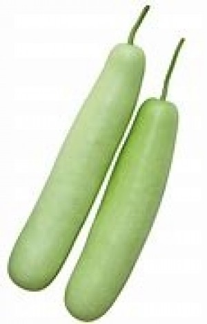 Bottle Gourd - (Approx 500 to 800 g)