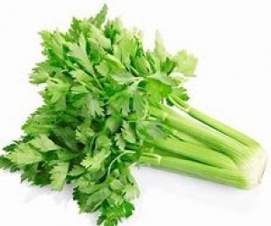 Celery - 1 Bunch