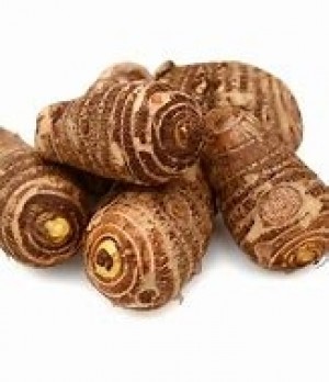 Colocasia - 500 g