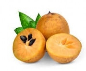 Sapota - 1 Kg